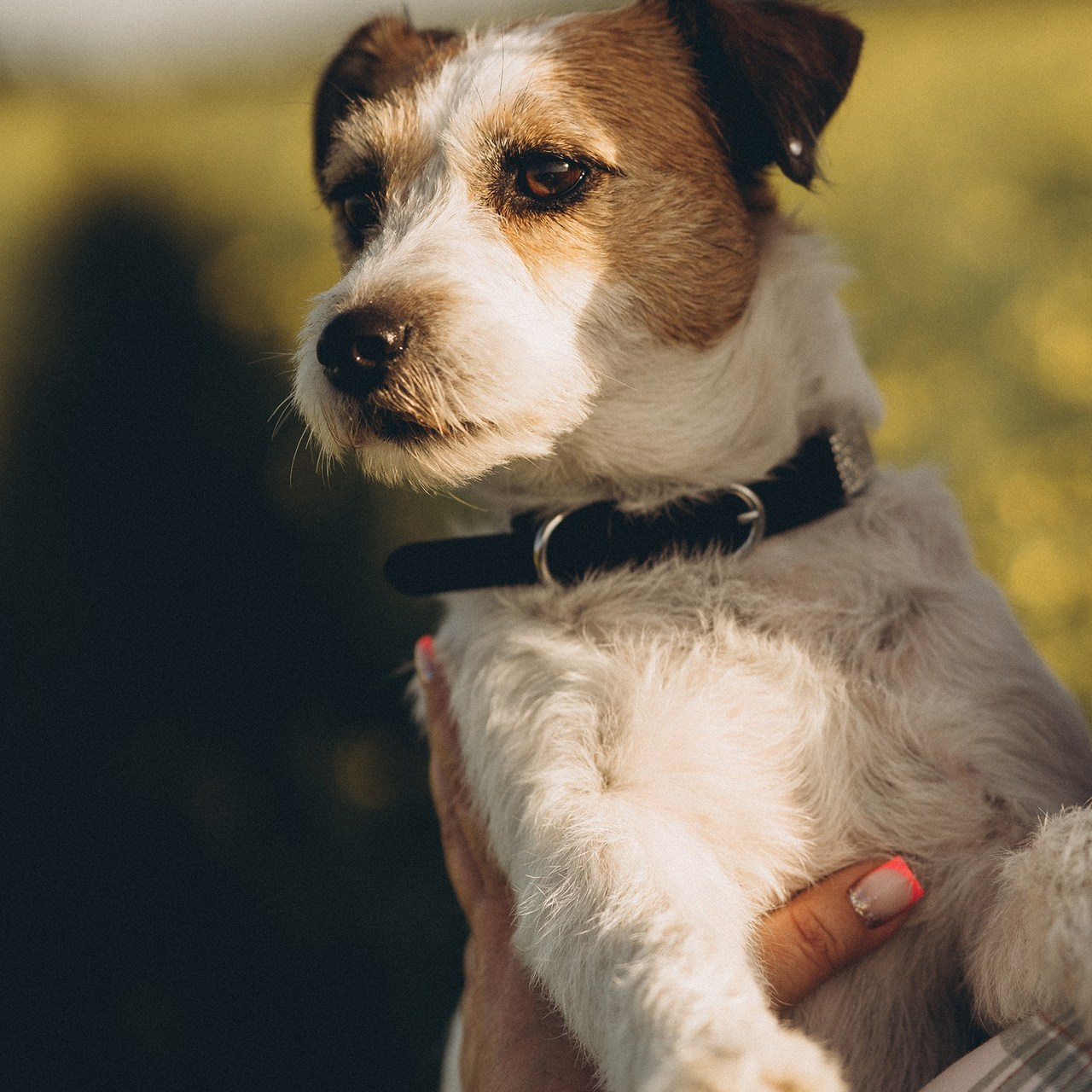 Отзывы. Детский и семейный фотограф — Калининград — Юля Насифуллина