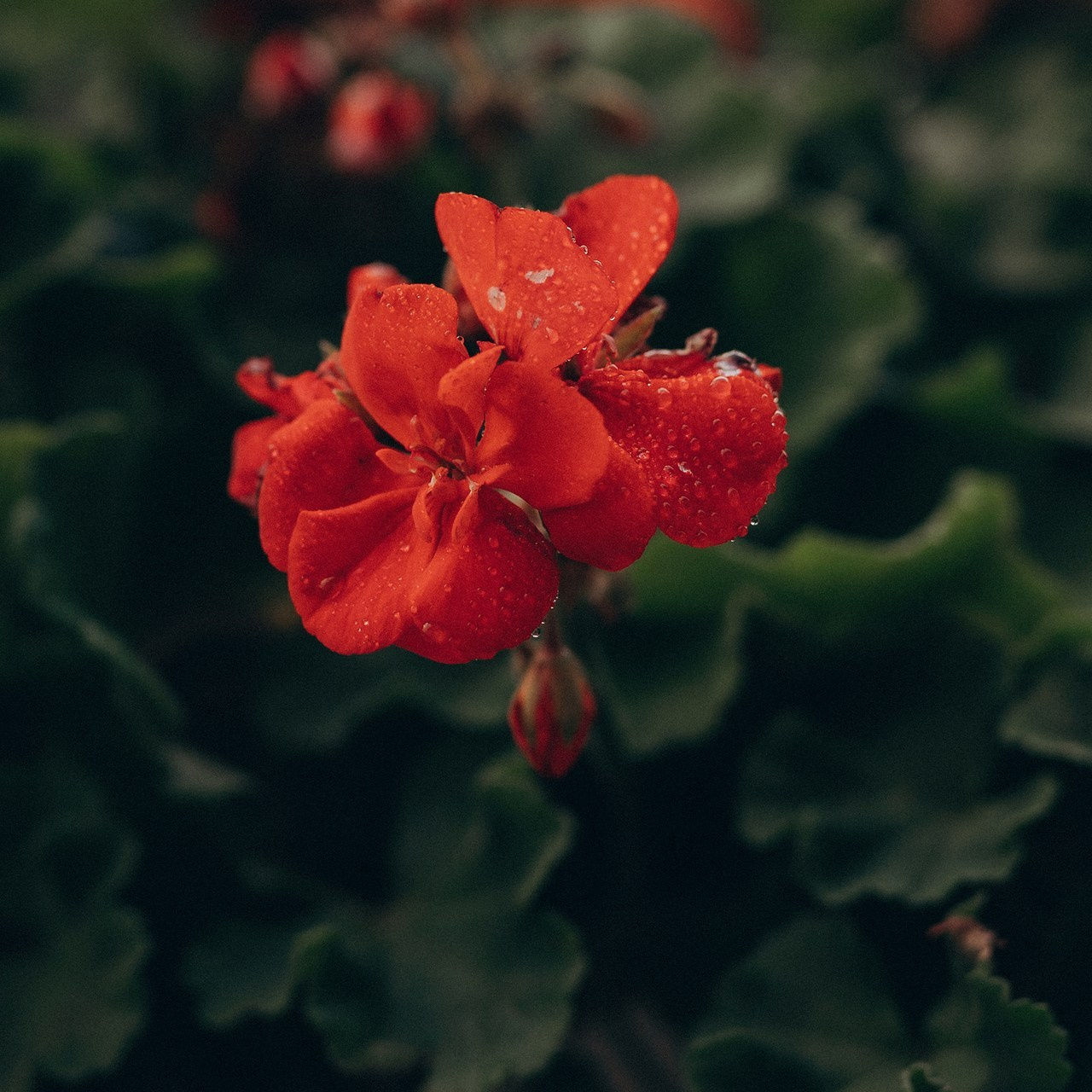 Отзывы. Детский и семейный фотограф — Калининград — Юля Насифуллина