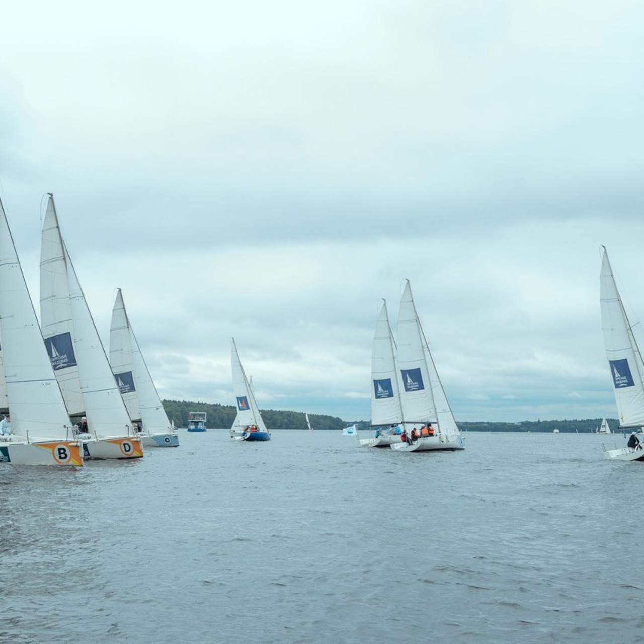 Отзывы. Свадебный, семейный фотограф в Раменском, Москве и Подмосковье