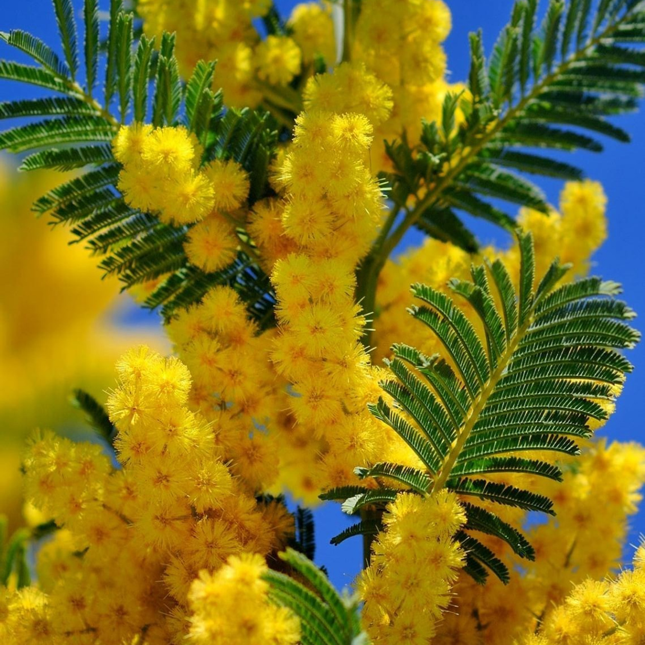 Отзывы. Свадебный, семейный фотограф в Раменском, Москве и Подмосковье