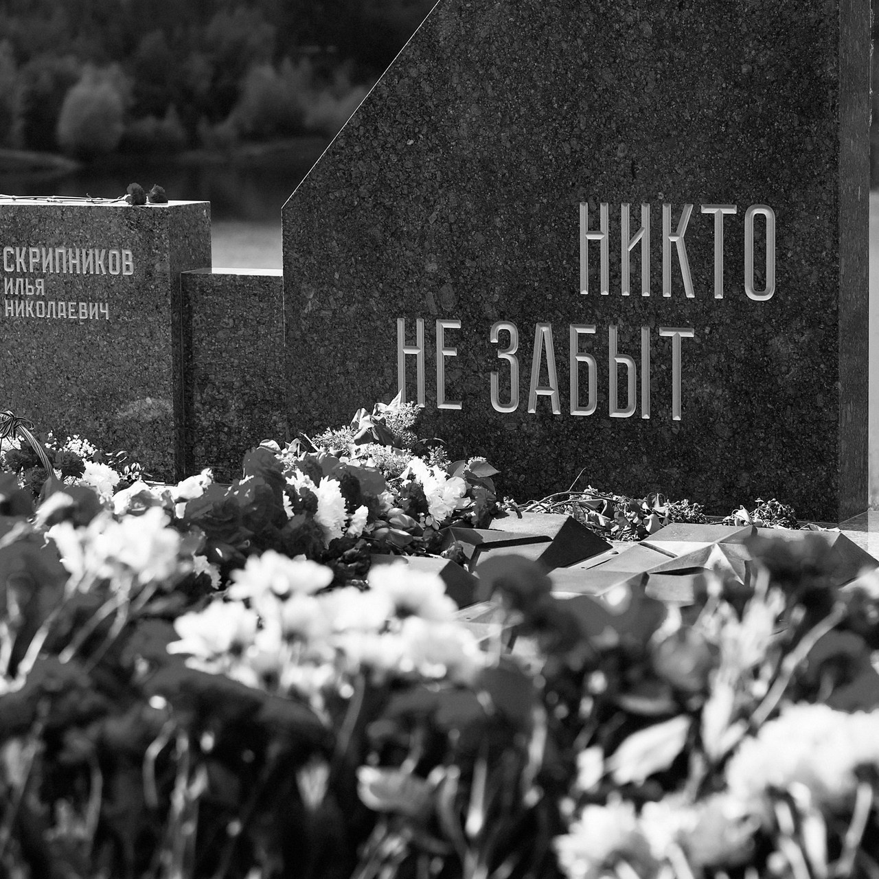 Отзывы. Свадебный, семейный фотограф в Раменском, Москве и Подмосковье