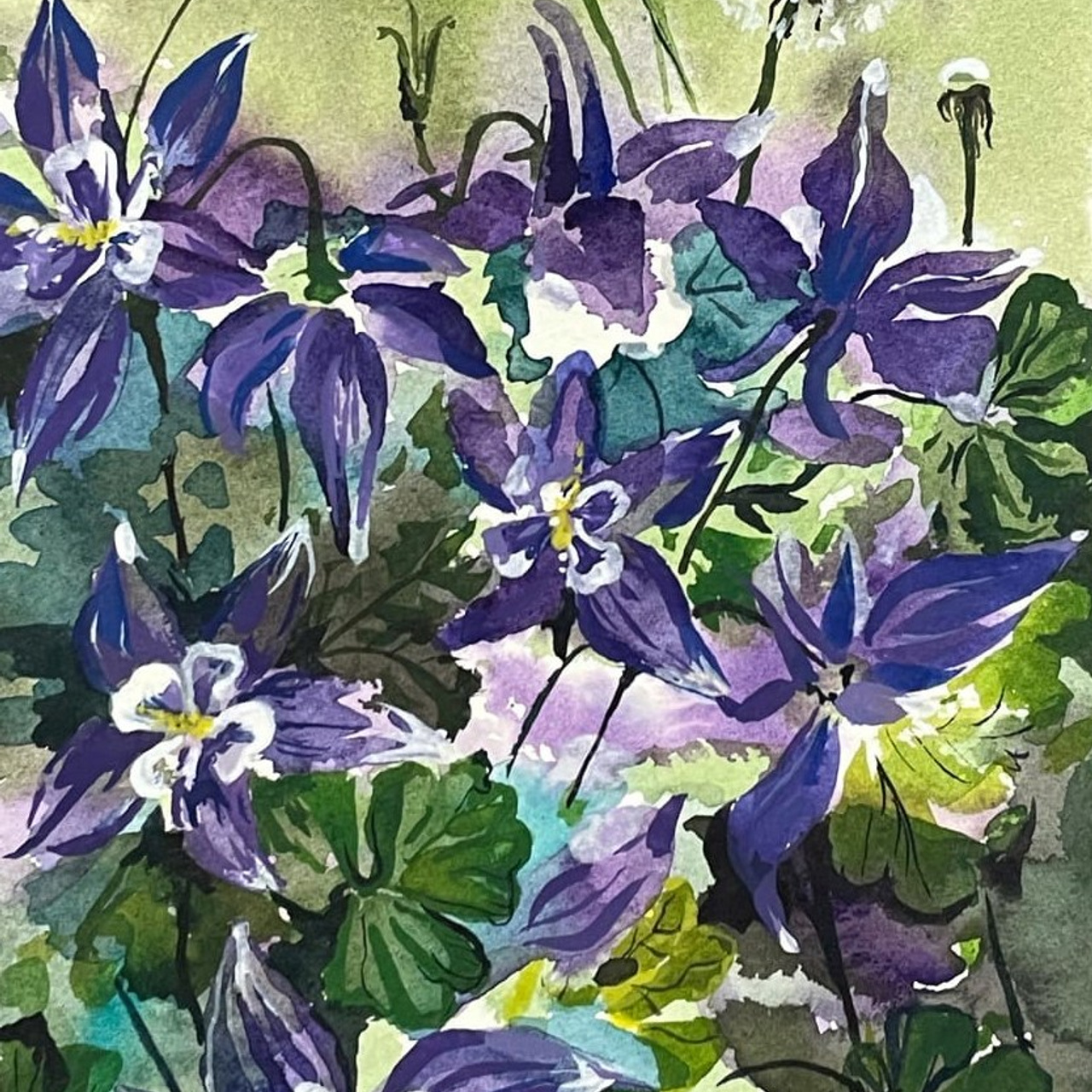 «Водосбор. Хабаровск». Акварель, 12,5х18 см., 2021