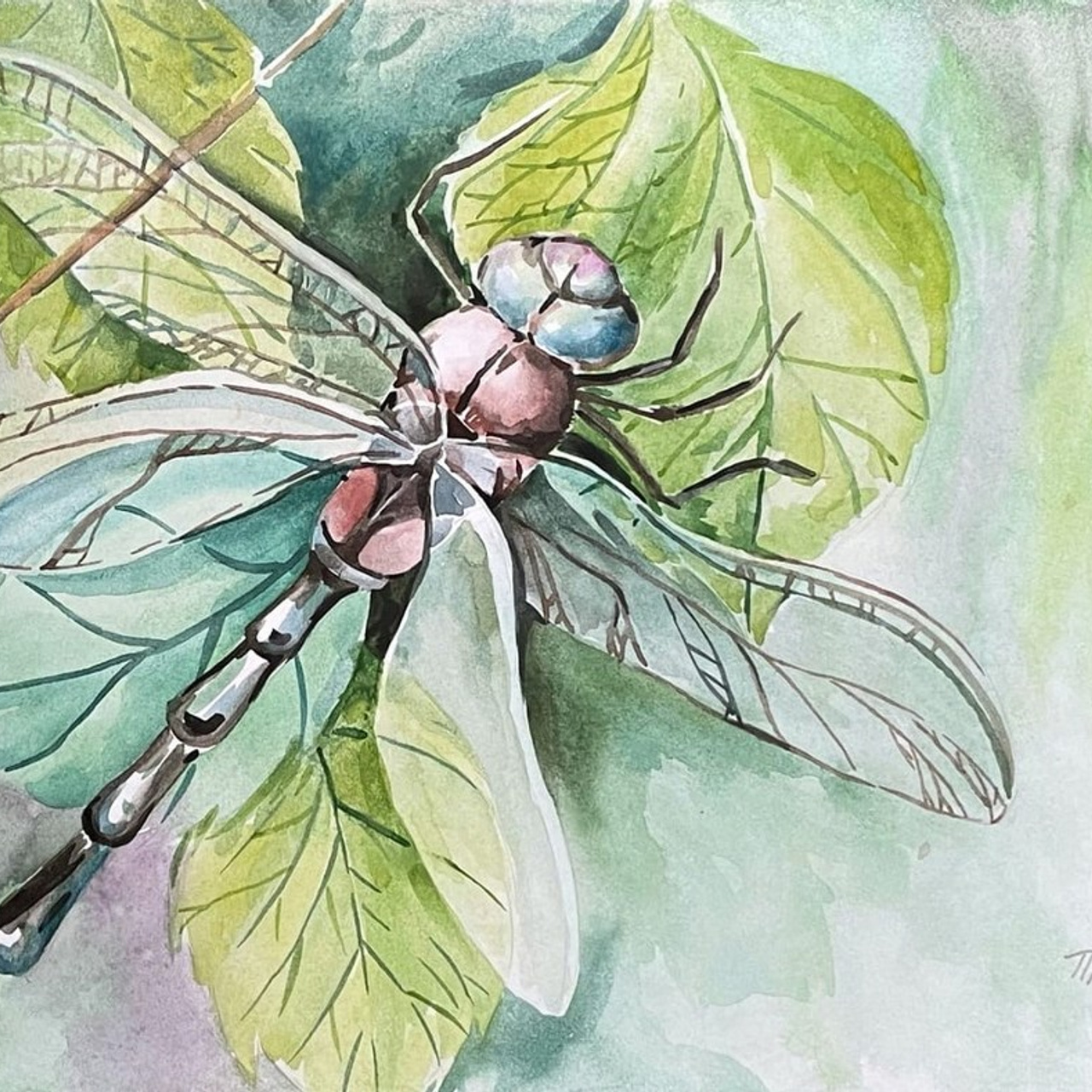 «Стрекоза». Акварель,  21х29,7 см., 2021