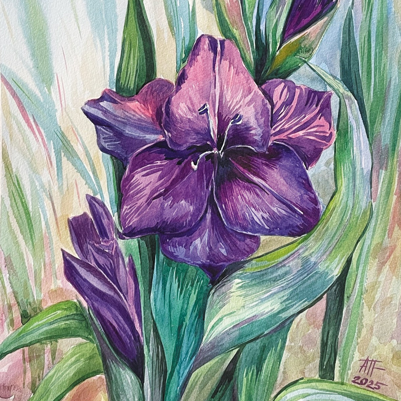 «Гладиолус». Акварель, 30х45 см., 2025