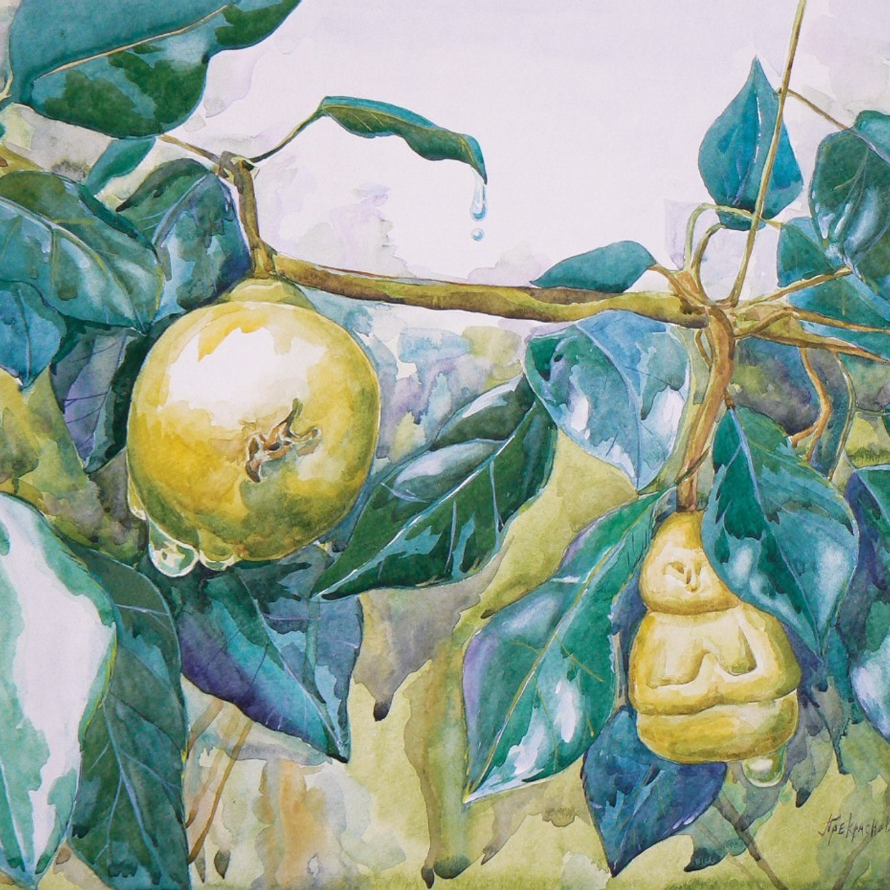 Акварель. Прекраснова. Prekrasnova