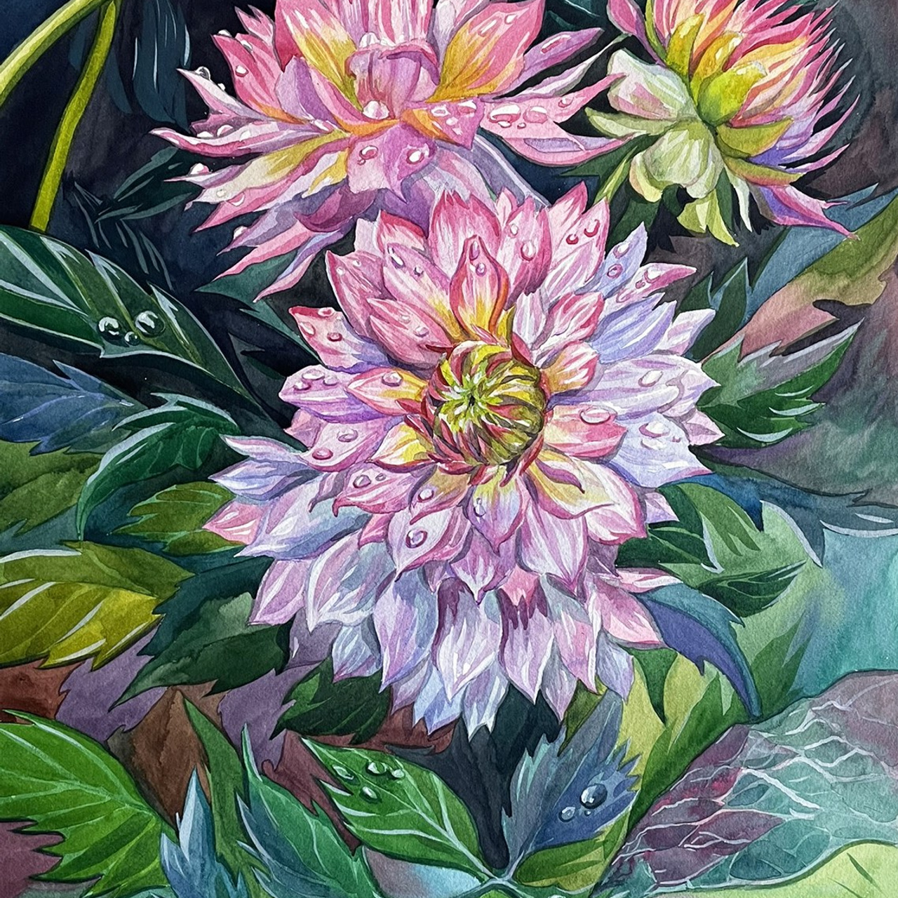 «Георгины». Акварель 30х45 см., 2025