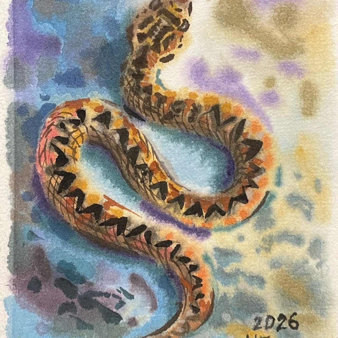 «Змея». Акварель, 10х14,5 см., 2026