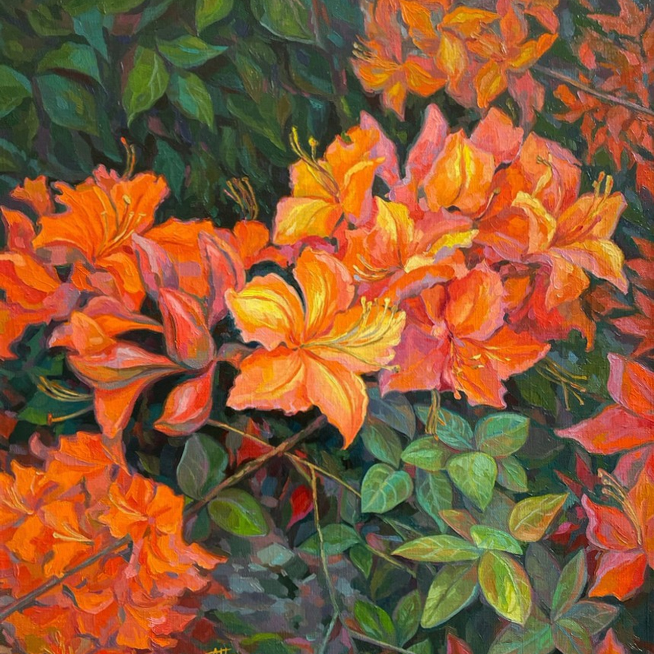 «Рододендрон в сквере у драмтеатра». Масло, 50х60 см., 2024