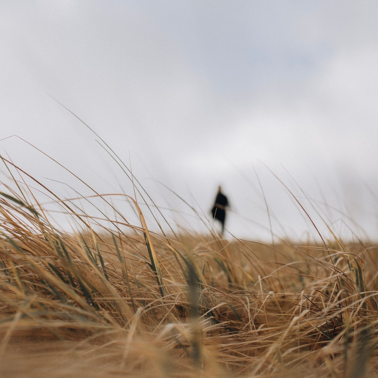 Отзывы. Женский и семейный фотограф в Калининграде Надежда Подлипинская