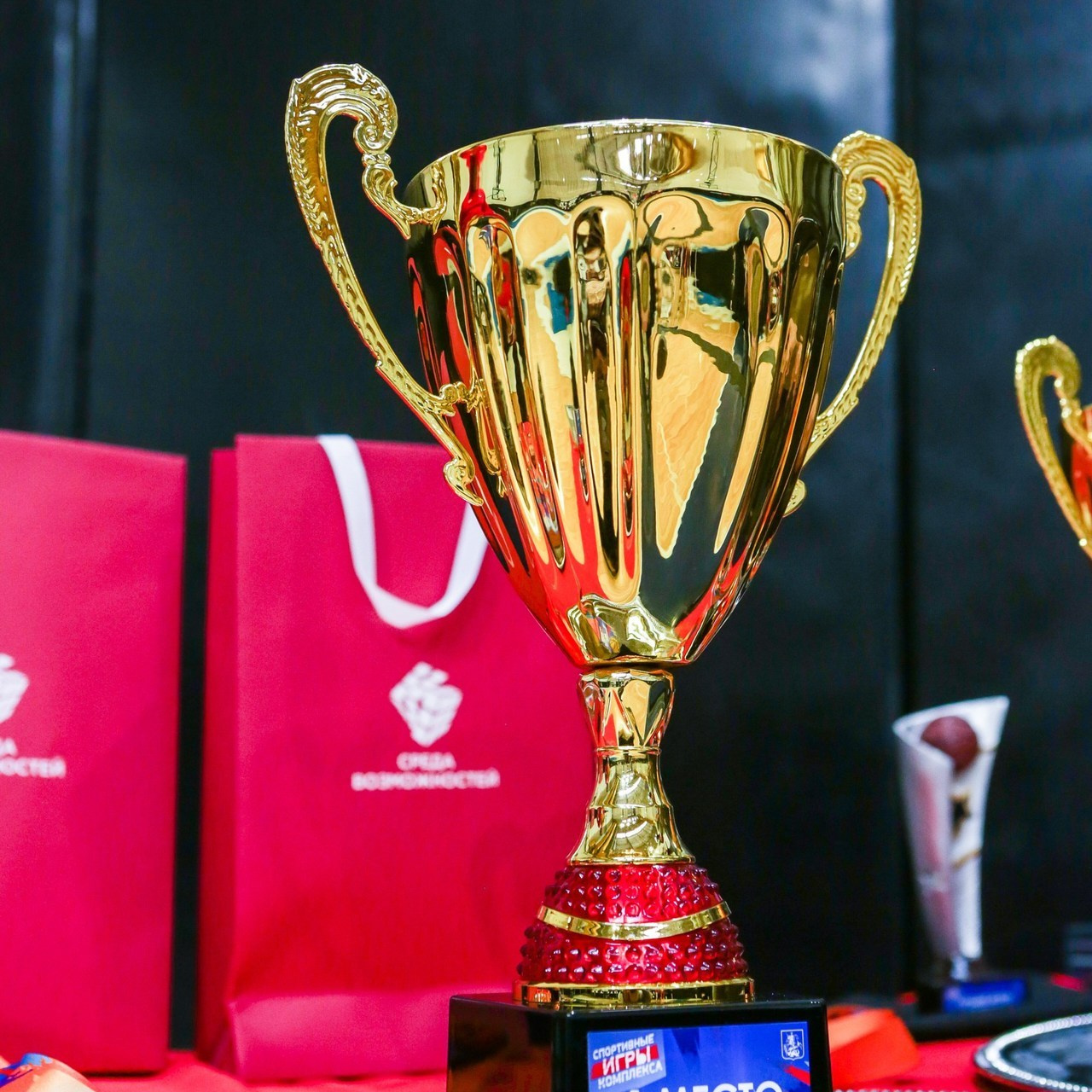 Отзывы. Репортажный, семейный, свадебный, портретный фотограф