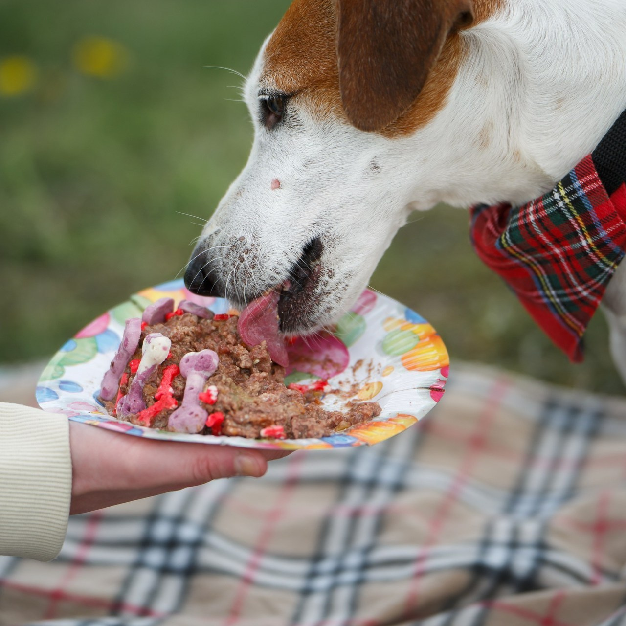 Отзывы. Фотограф Анималист в Москве Анастасия Жучкова