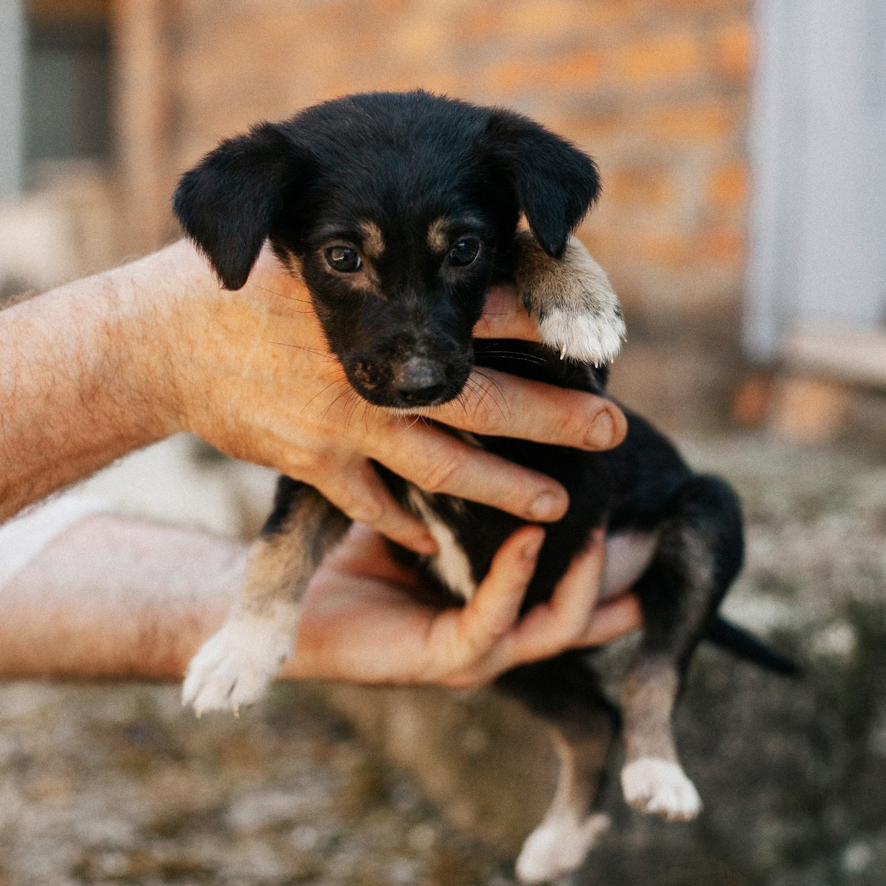 Отзывы. Фотограф в Краснодаре Алена Соколовская