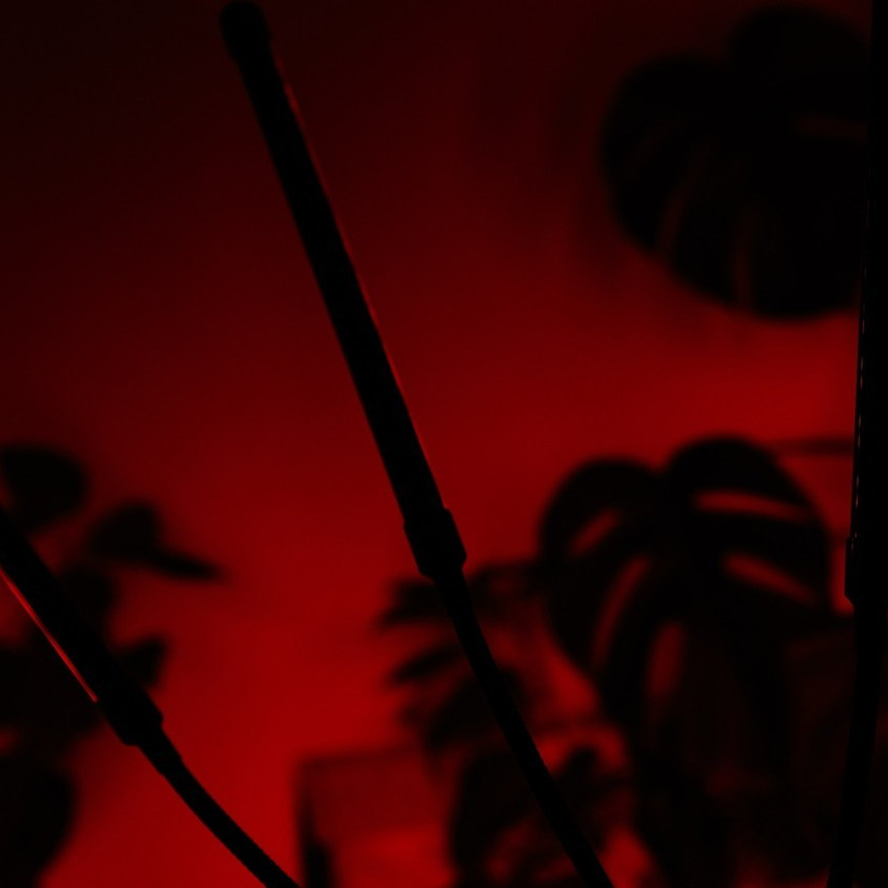 Отзывы. Свадебный фотограф в Санкт-Петербурге