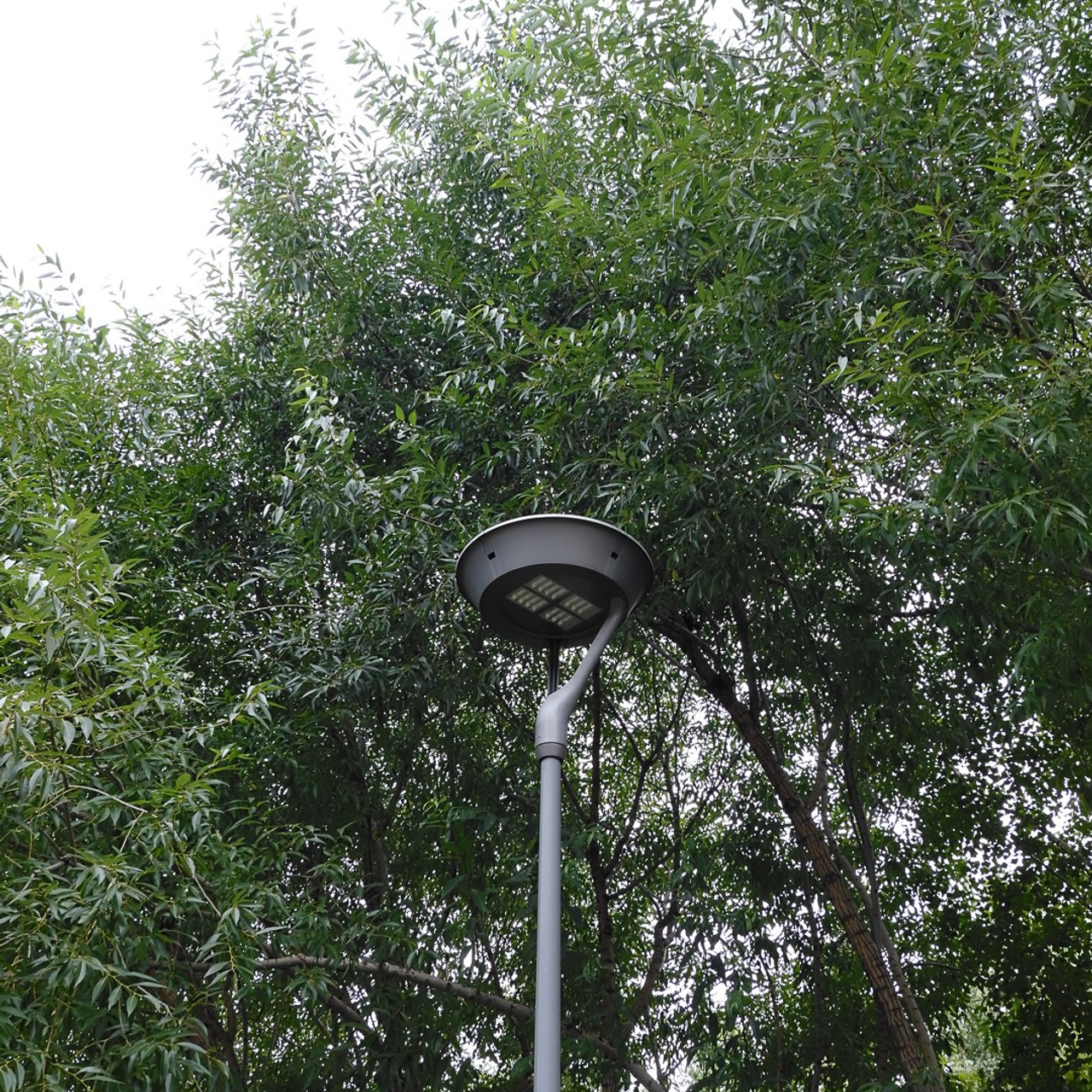 Fujifilm X-Half: Полный обзор самой странной камеры для соцсетей. Стоит ли покупать?