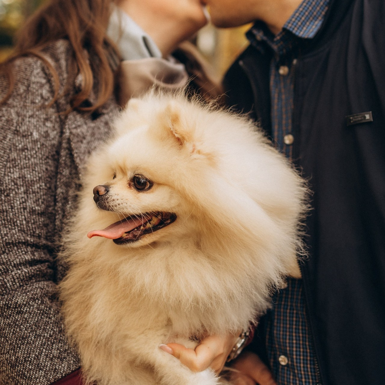 Отзывы. Надежда Стар семейный и церковный фотограф в Жукове и Калужской области
