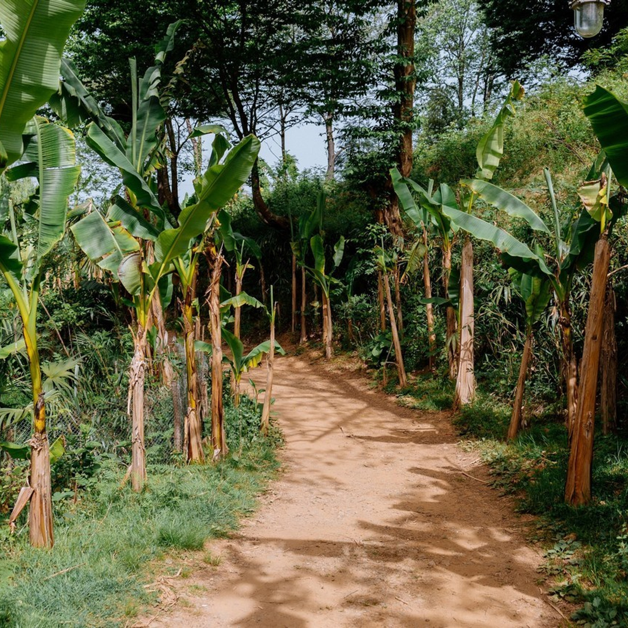 Feedback on wedding and family photographer Fedor Lemeshko. Fedor Lemeshko — Destination Wedding and Family Lifestyle photographer