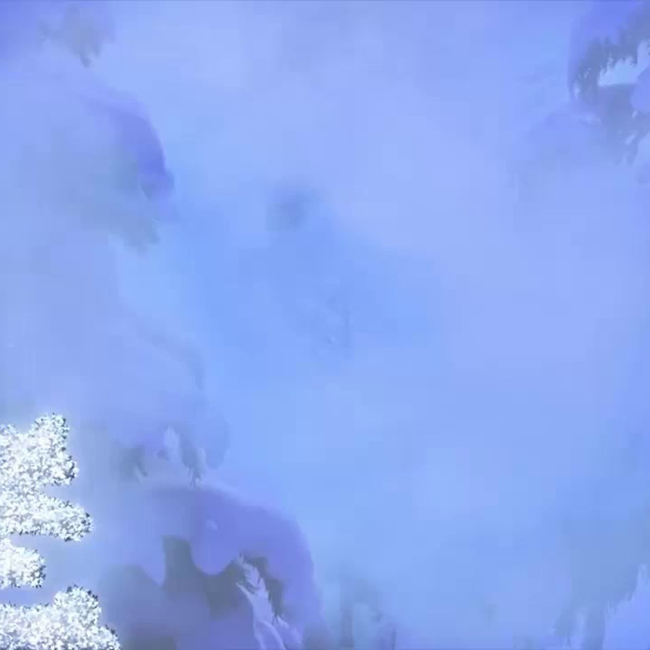 Отзывы. Фотограф Елена Райс Ленинск-Кузнецкий