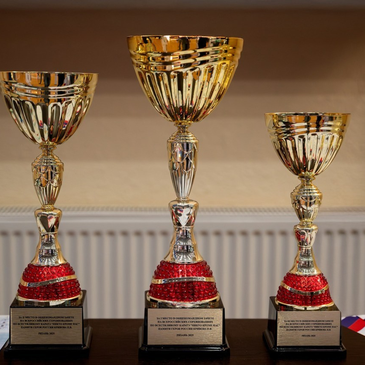 Отзывы. Свадебный и семейный фотограф в Рязани — Москве Екатерина Ермакова