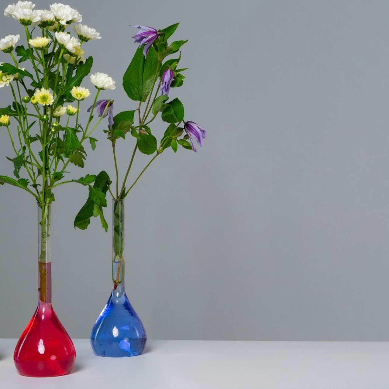 Отзывы. Свадебный и семейный фотограф в Рязани — Москве Екатерина Ермакова