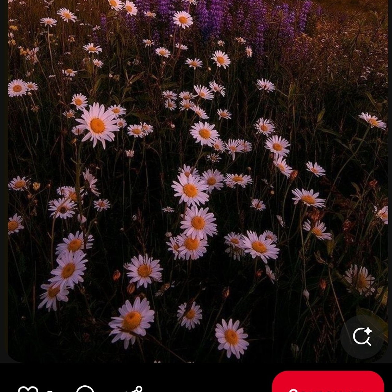 Отзывы. Фотограф в Самаре