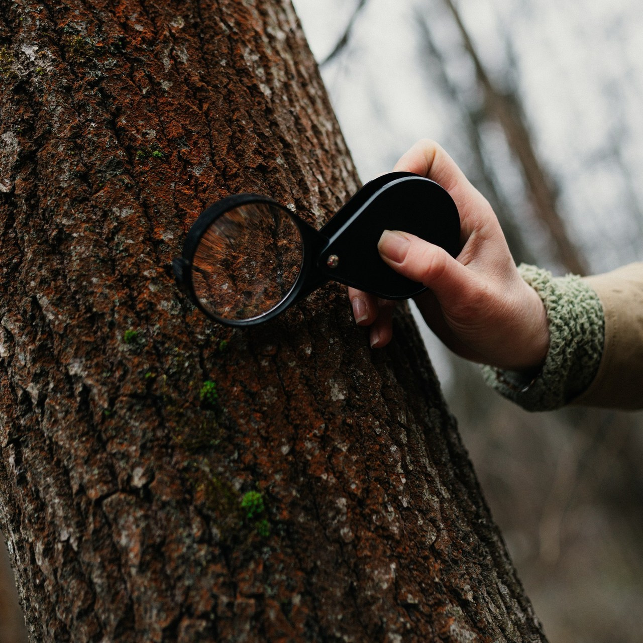 Отзывы. ✖‿📷 Фотограф| Москва