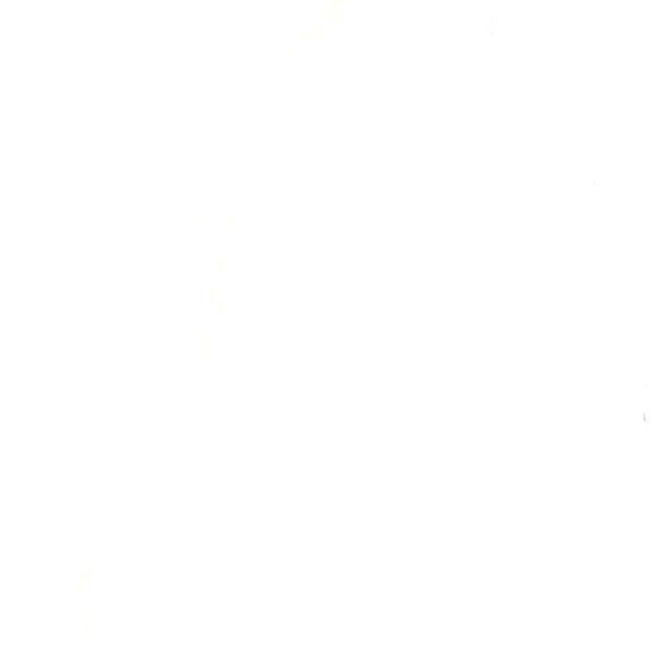 Reviews. Kate Okatova Photography Charlotte NC Photographer