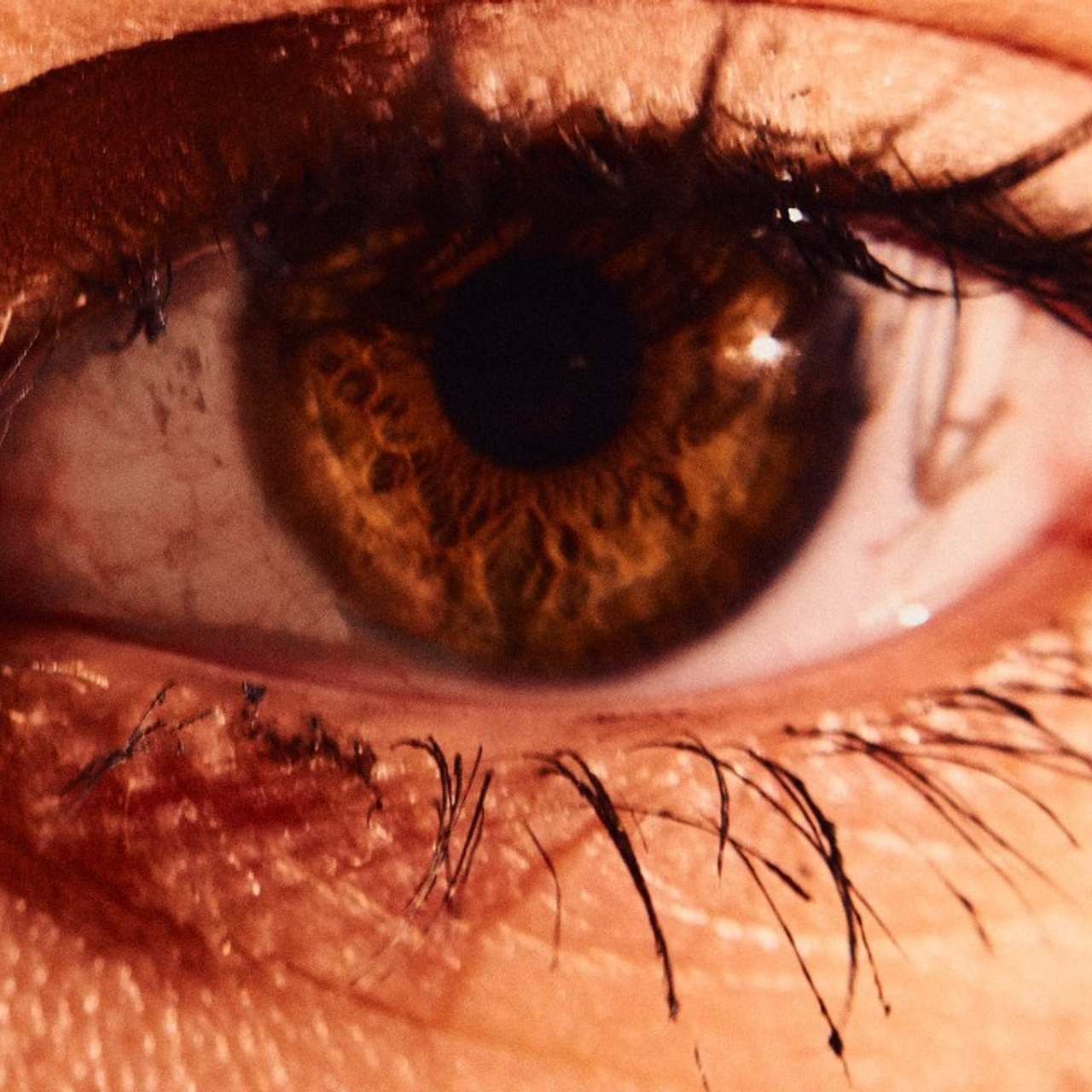 Отзывы. Фотограф Дмитрий Рябов | Нижний Новгород