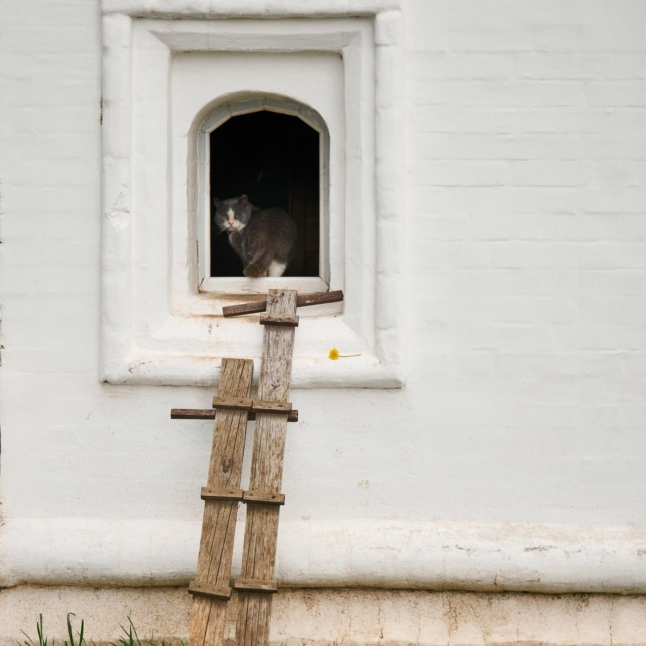 Отзывы. Свадебный фотограф Сергей Фарковец