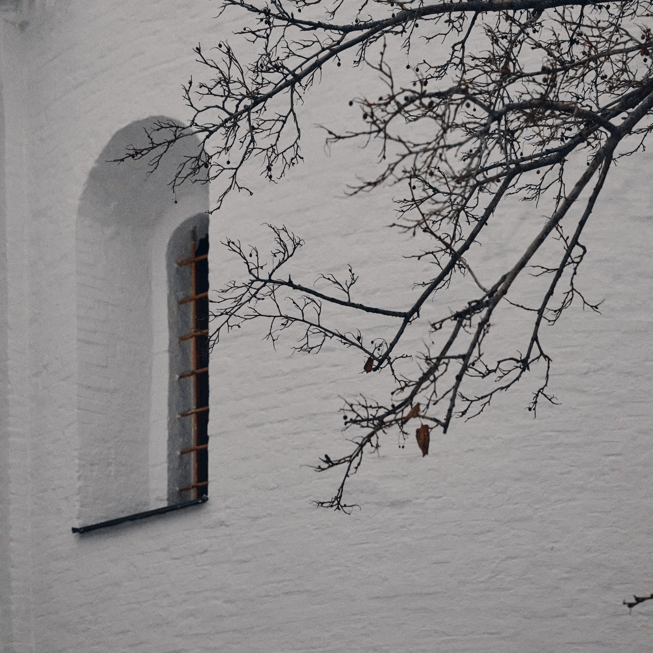 Отзывы. Свадебный фотограф Сергей Фарковец