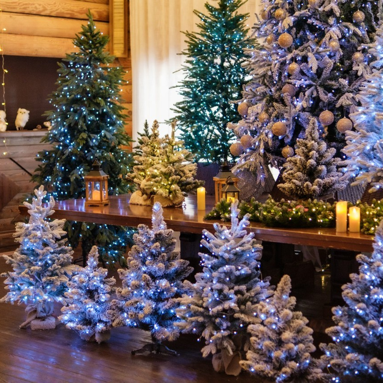 Отзывы. Главная