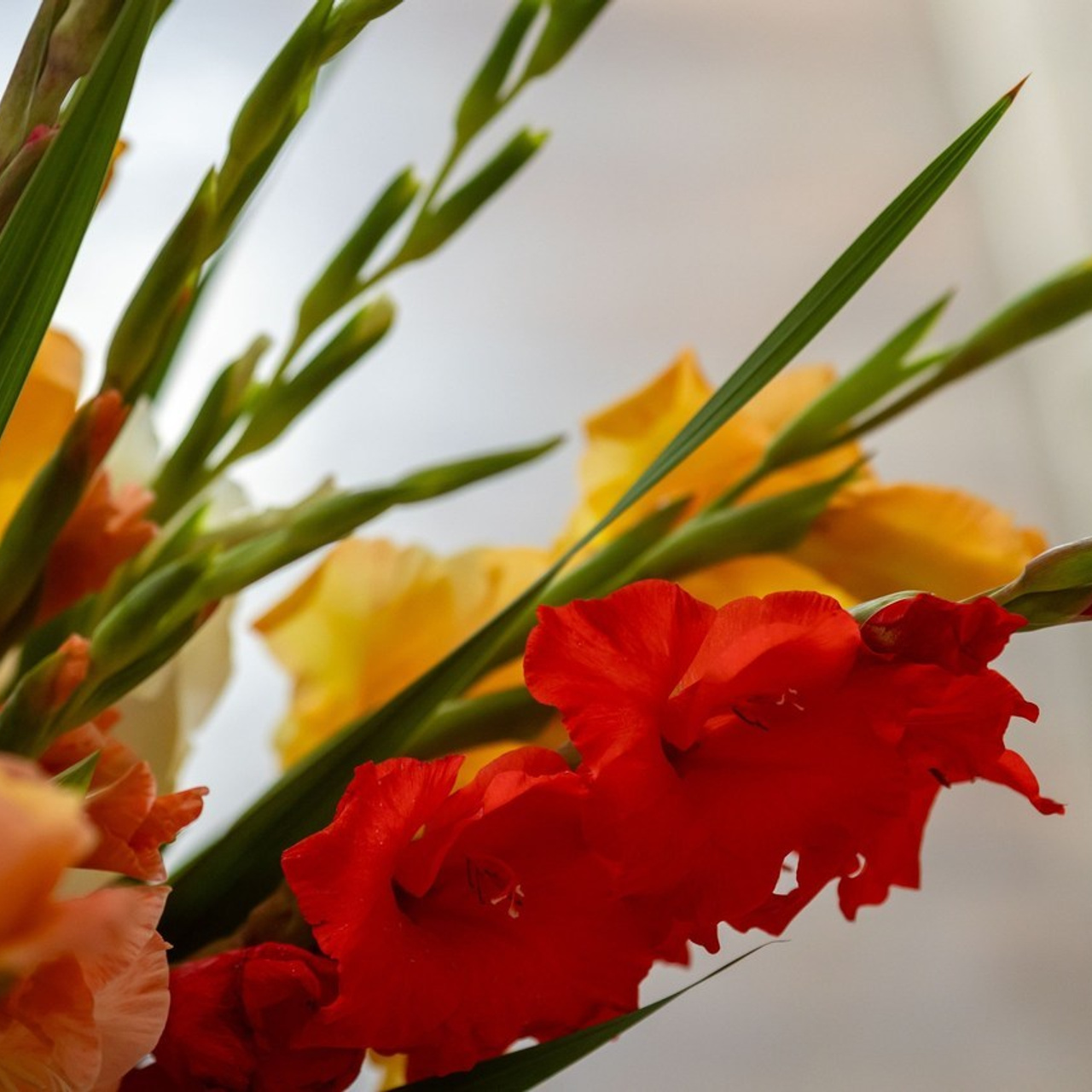 Отзывы. Семейный и детский фотограф Анна Петракова