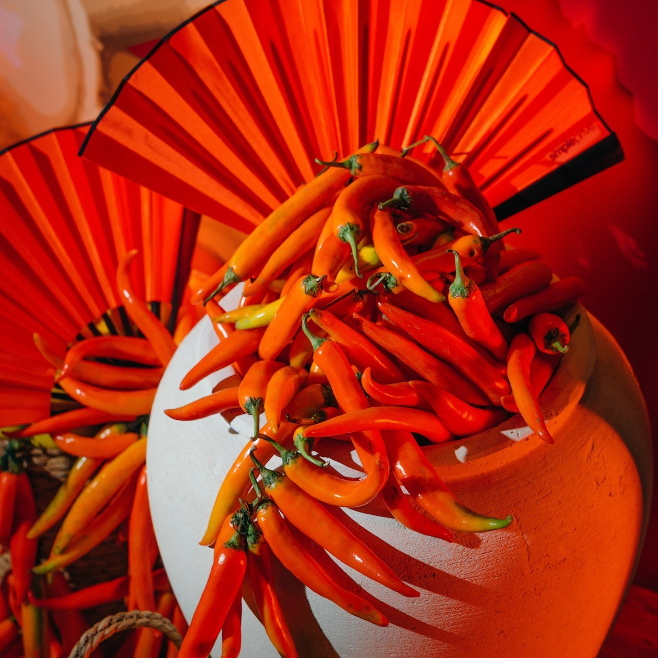 Отзывы. Контентный и свадебный фотограф в Краснодаре и Сочи Елена Плотникова