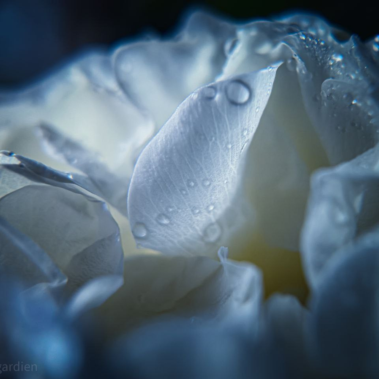 Отзывы. Аборнева Инна.Практикующий психолог. Коуч. Арт-терапевт