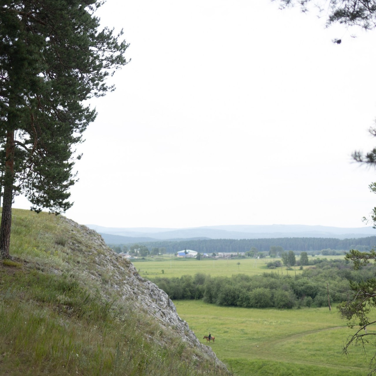 Отзывы. Алина Камалова