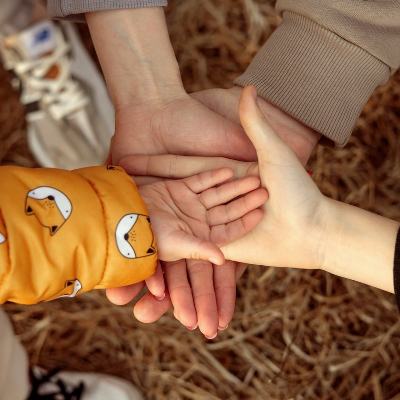 Отзывы. Детский и семейный фотограф во Владивостоке Светлана Шаповаленко