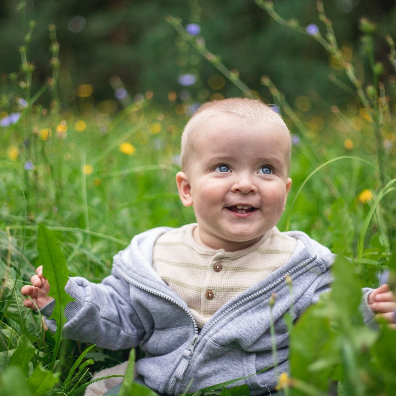 Отзывы. Фотограф-анималист Анна Леонтьева — Тула, Москва