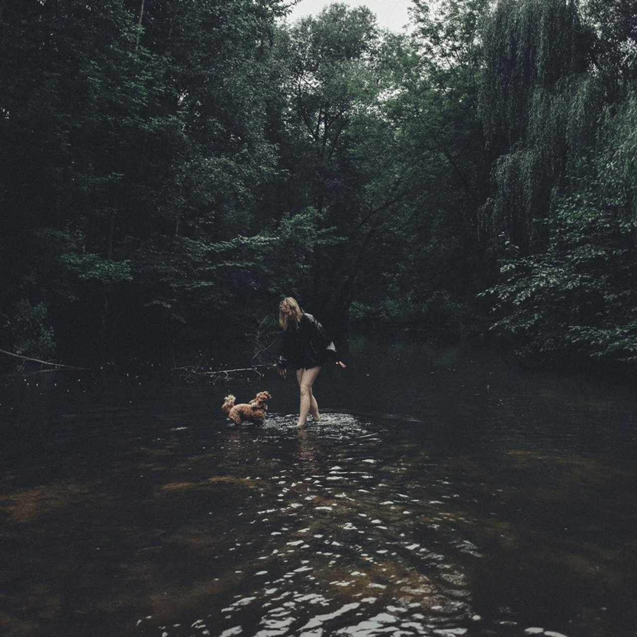 Фото • отзывы. Фотограф, режиссёр, художник Аполлинария Лиманская