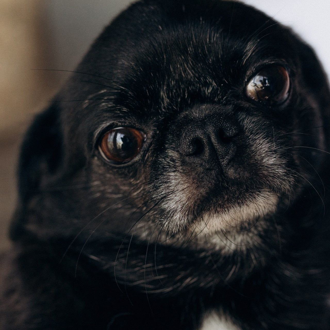 Отзывы. Семейный фотограф в Санкт-Петербурге