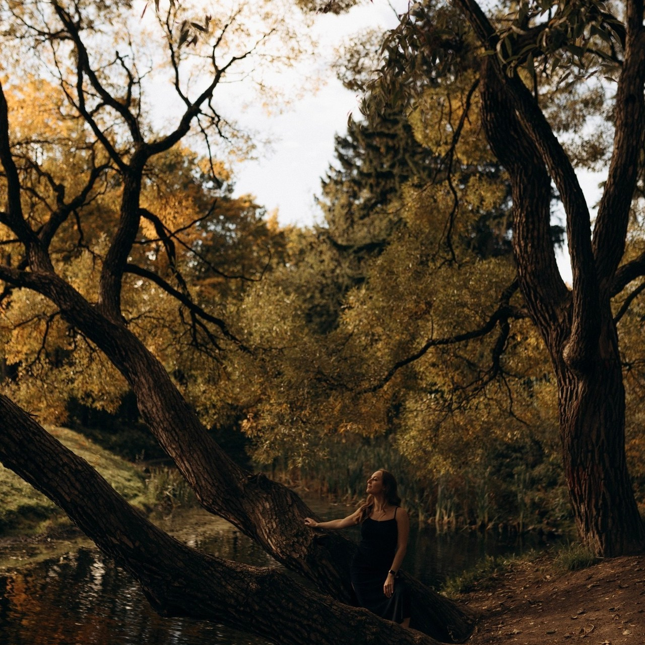 Отзывы. Семейный фотограф в Санкт-Петербурге
