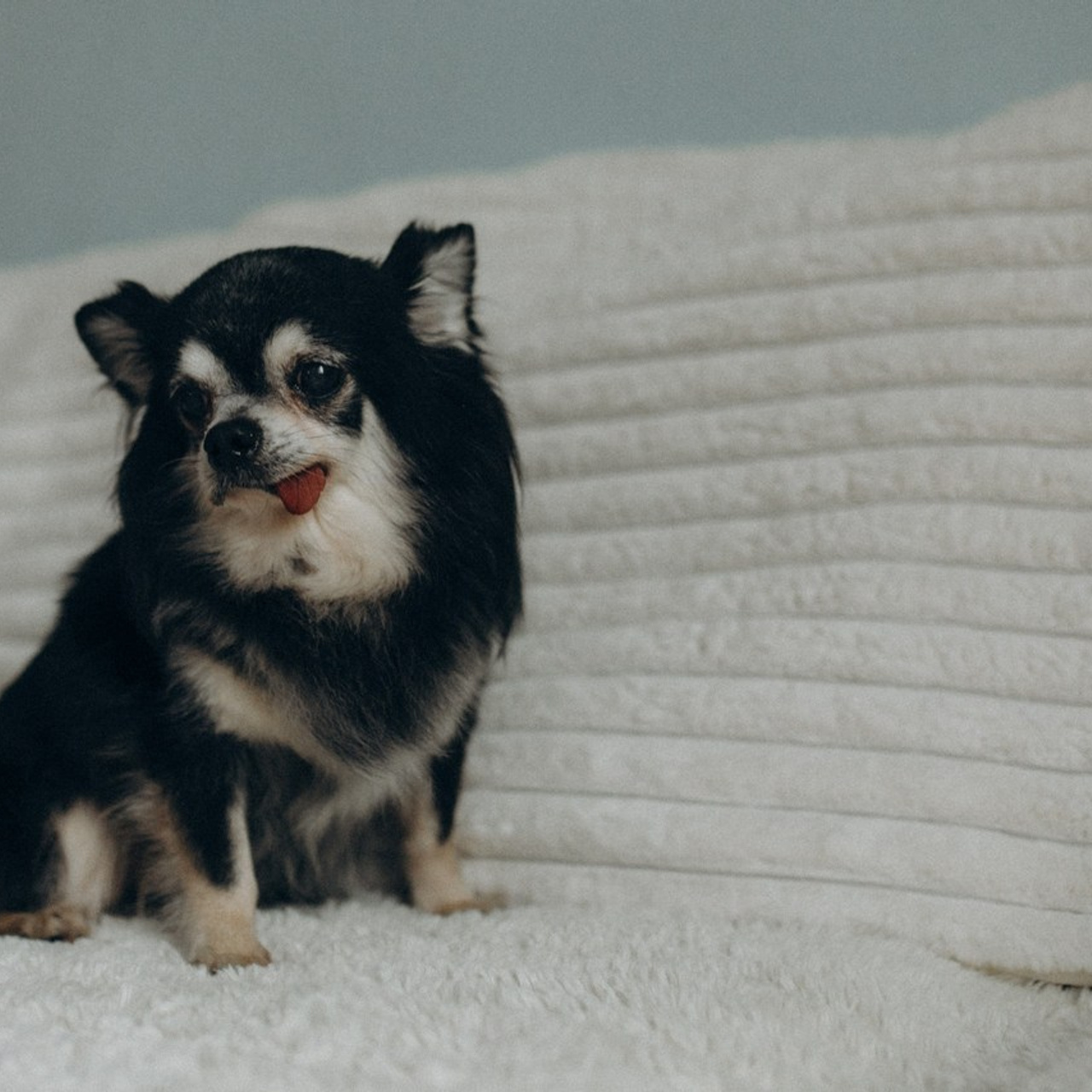 Отзывы. Семейный фотограф в Санкт-Петербурге