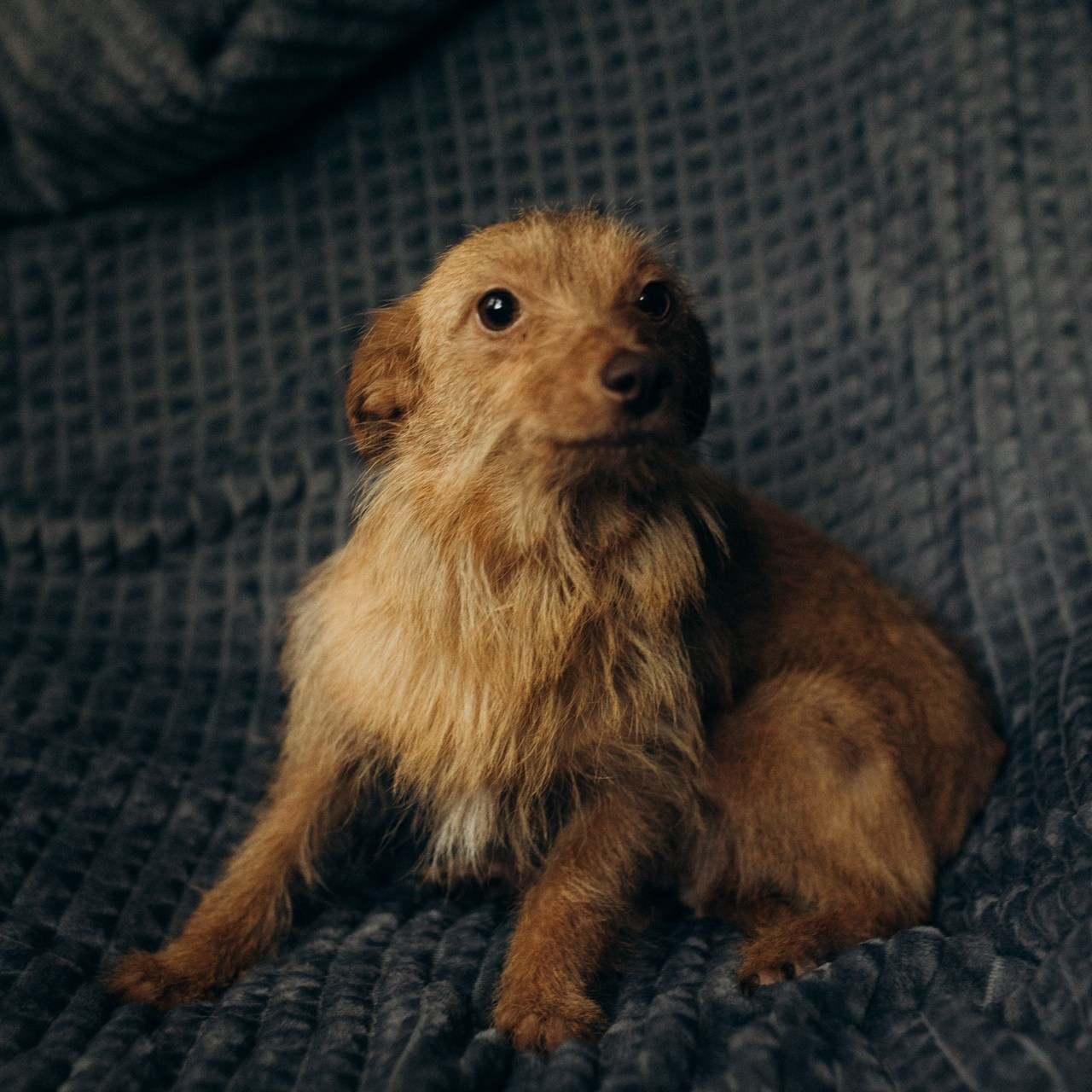 Отзывы. Семейный фотограф в Санкт-Петербурге