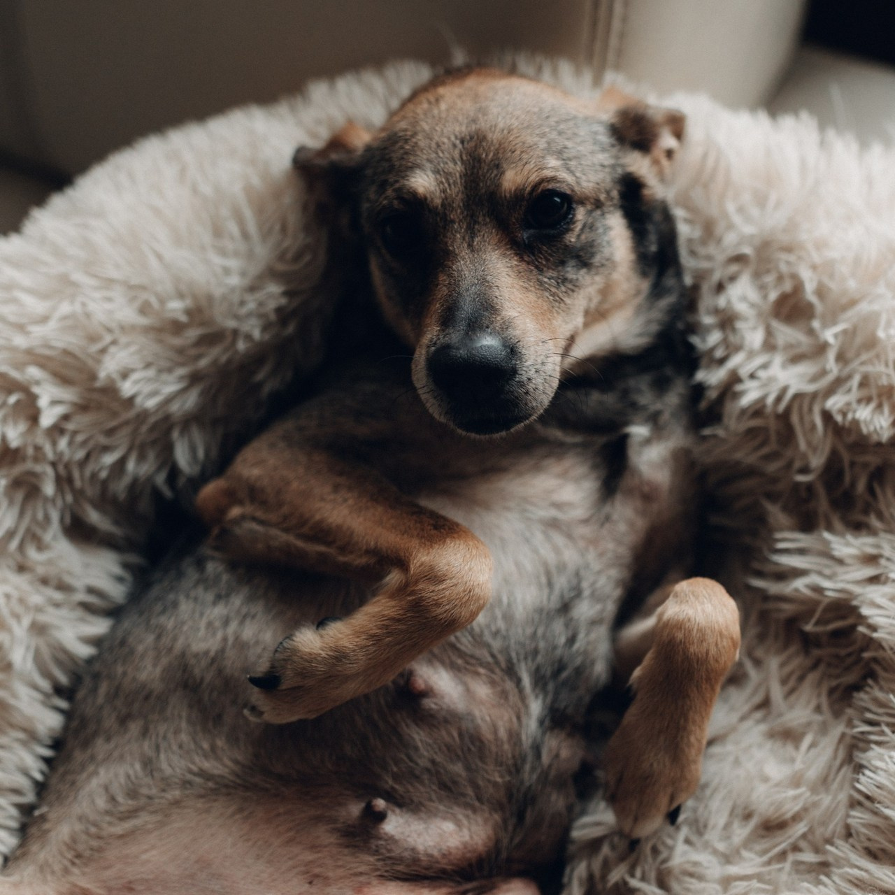 Отзывы. Семейный фотограф в Санкт-Петербурге