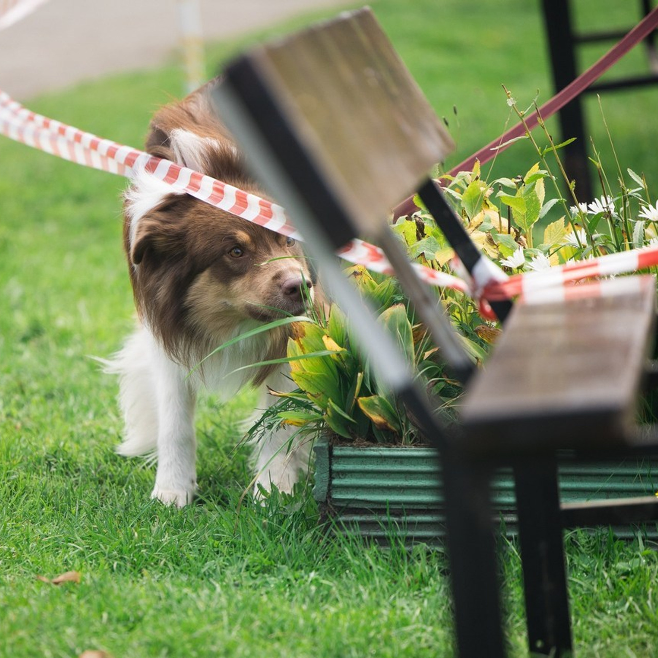 Отзывы. Фотограф-анималист в Екатеринбурге Марина Шишкина