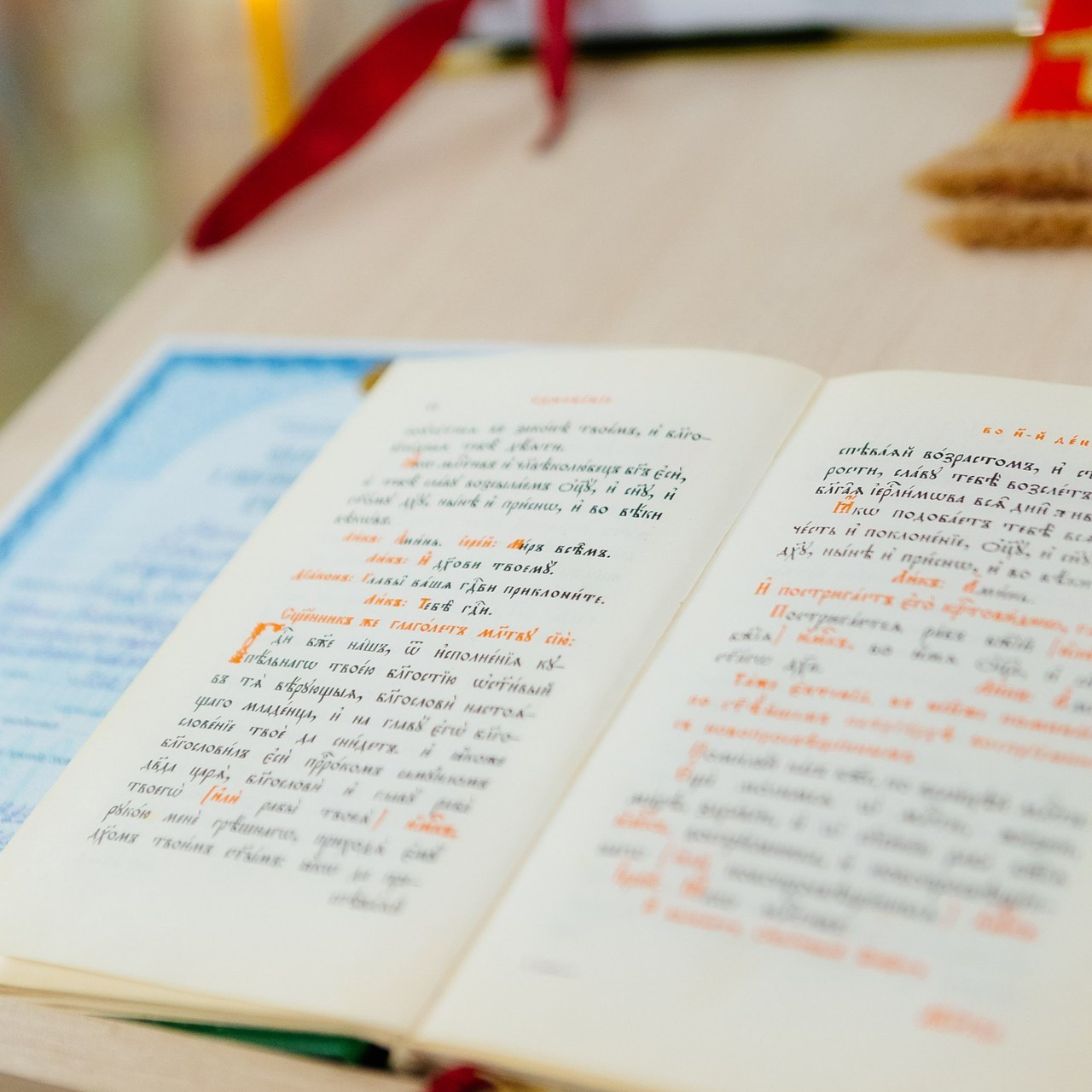 Отзывы. Семейный и детский фотограф в Москве Александра Мак