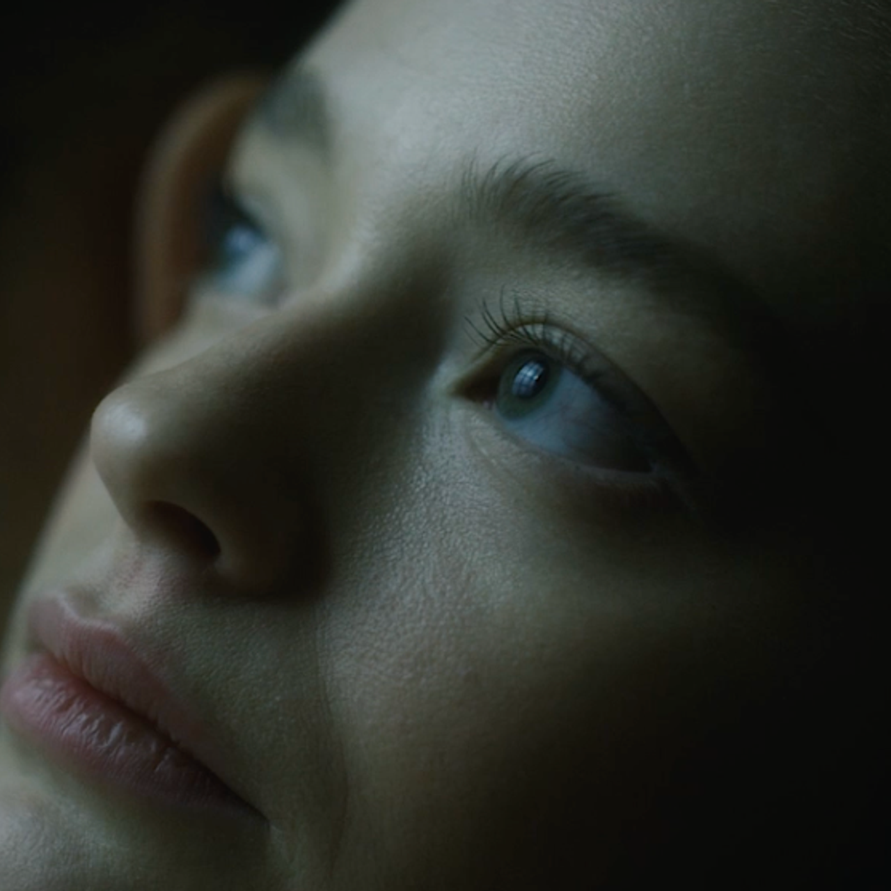 СТОКОВЫЕ ВИДЕО