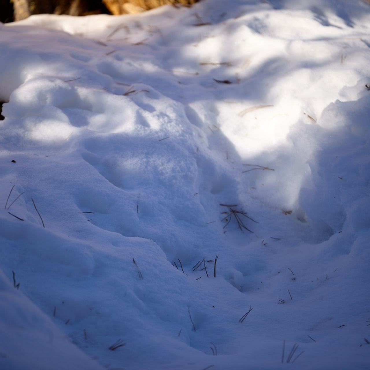 Отзывы. Портреты с душой: Иван Зиновьев -Фотограф в Саяногорске