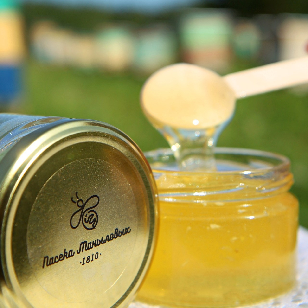 Отзывы. Твой фотограф Надежда Максимьянова