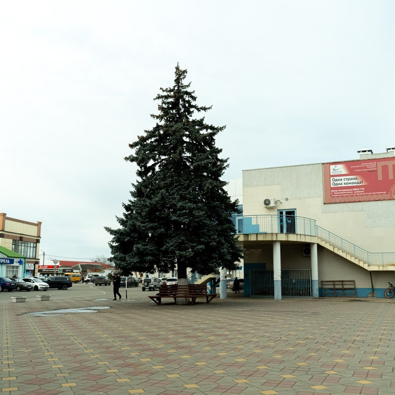 Отзывы. Видеограф. Фотограф. Роберт Манукян