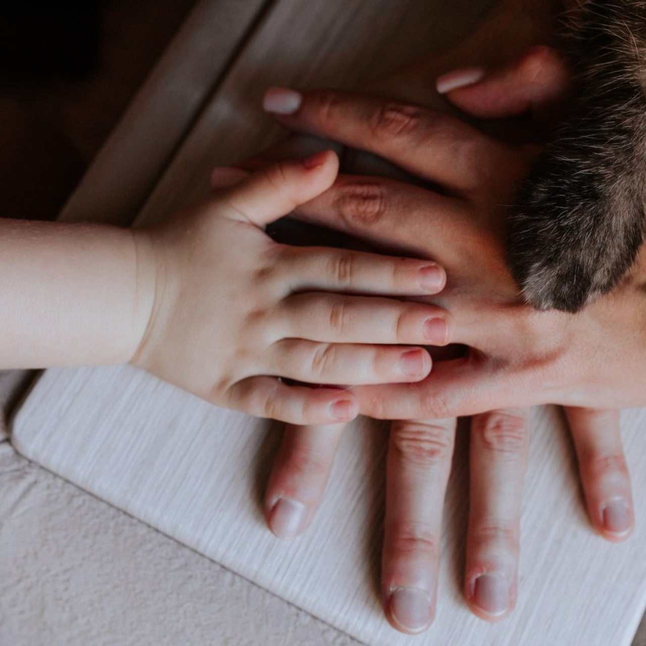 Отзывы. Фотограф Тверь. Свадебные, семейные, индивидуальные фотосессии