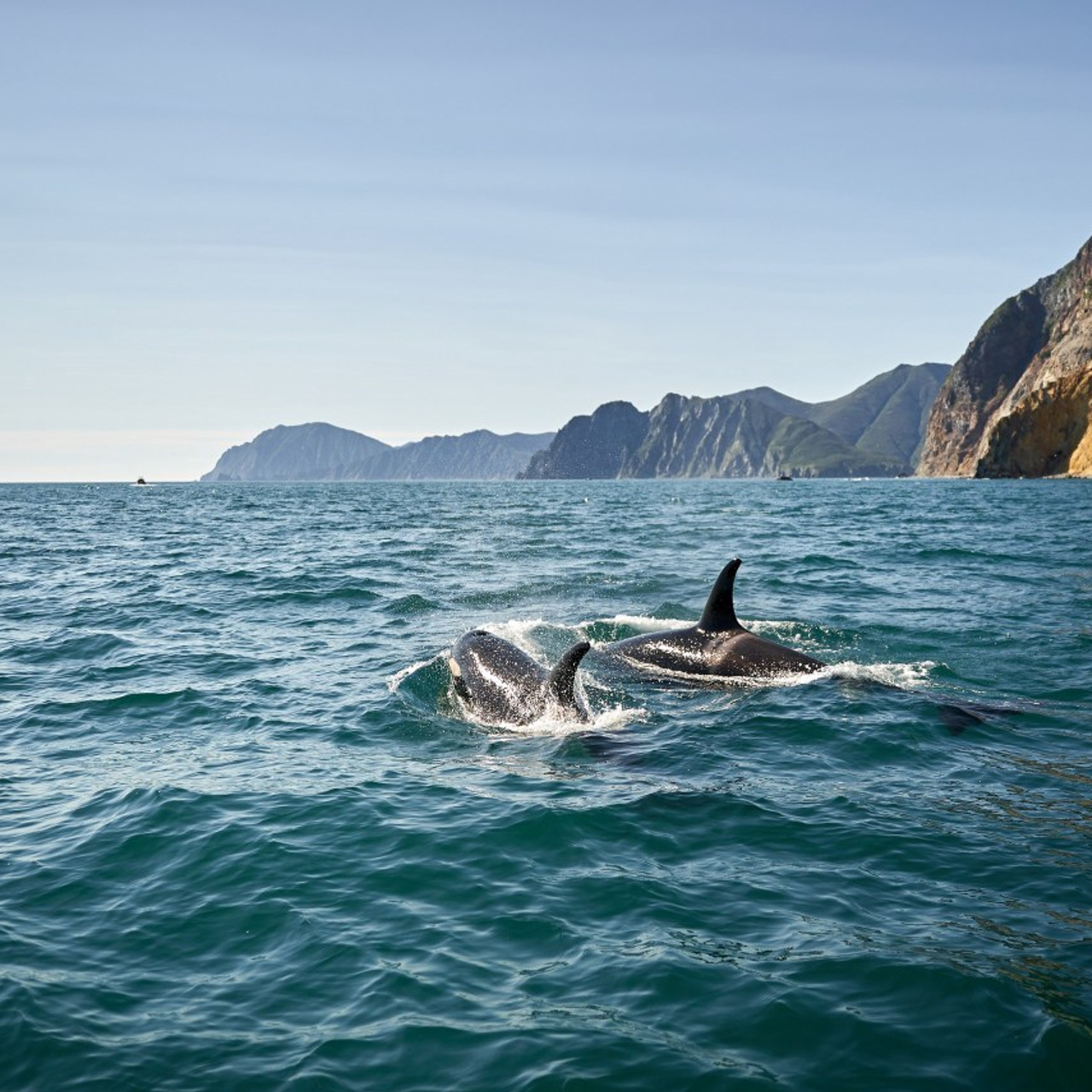 Отзывы. Артем Прошенков — фотограф и видеограф в Саратове